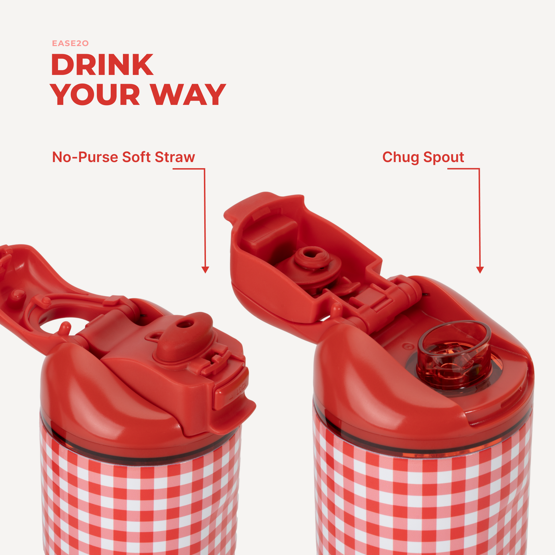 summer-picnic-n2 Ease14-SummerPicnic-3WPI.png