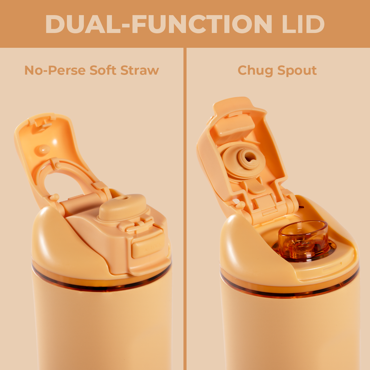 marigold-m1 Ease24-Marigold-WPI-5.png