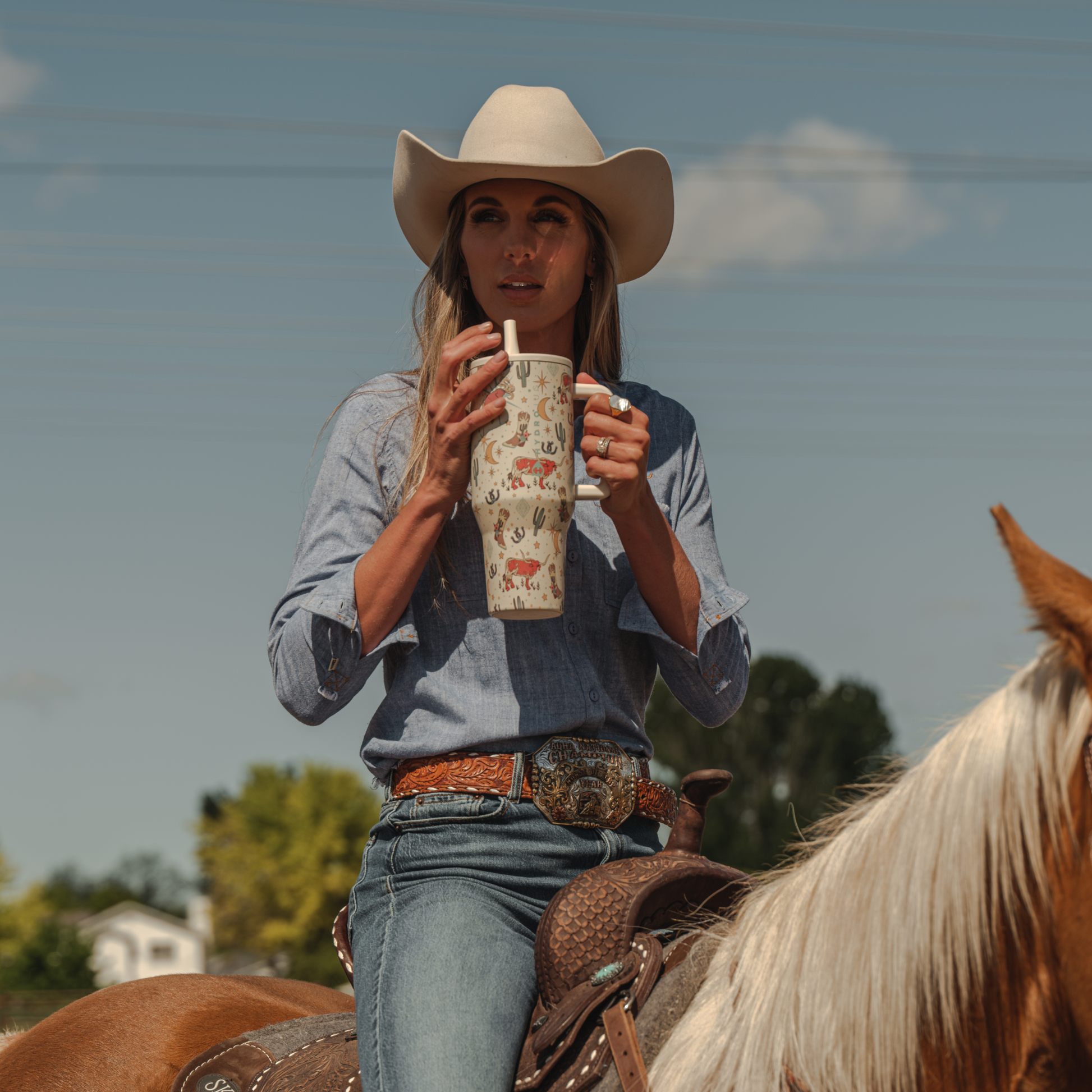 rodeo-h8 TRVL-Rodeo-6WPI.png